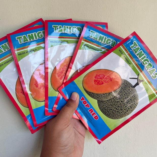 Benih Melon Top red f1 500btr exp 11-2026