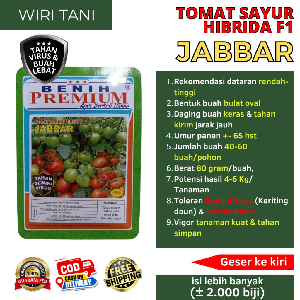 Benih Bibit Tomat Hibrida F1 Tahan Virus JABBAR Benih Premium (+-2.000 biji | Tomat Tahan Layu, buah