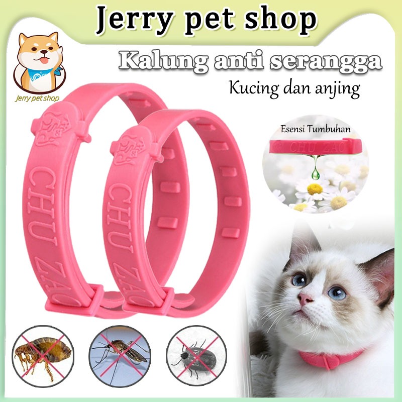 Kalung Kucing Collar Cat Obat Anti Kutu Small Ukuran Kecil Murah Bagus