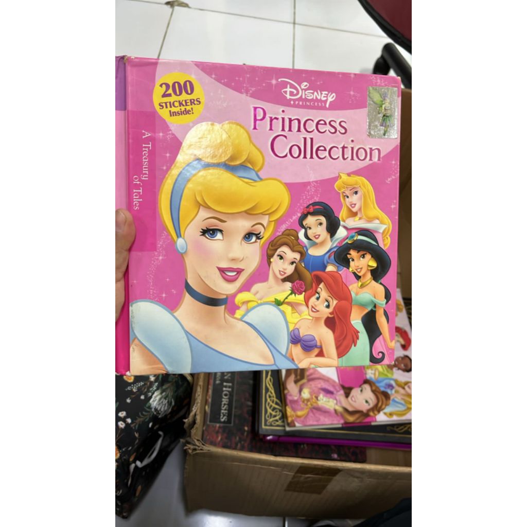 BUKU PRINCESS COLLECTION DISNEY