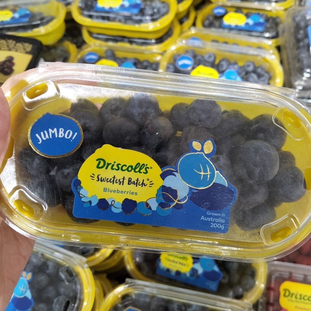 [1 Pack] Driscolls Jumbo Blueberry 200g / Blueberry Impor / Bluberi Jumbo Segar