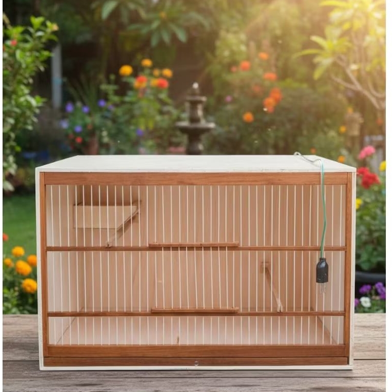 sangkar/ box ternak kenari/ branjangan/ cak ijo