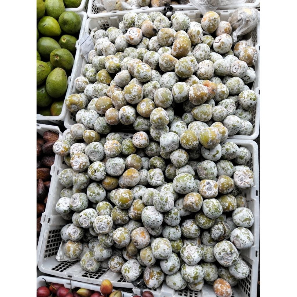 Buah kesemek