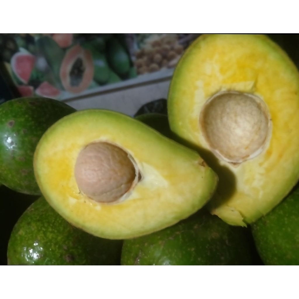 alpukat mentega bandung ukuran 1 kg = 4pcs