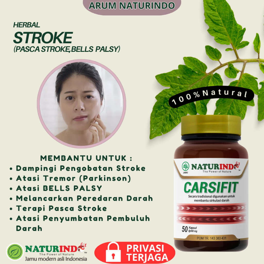 Herbal Terapi Pasca Stroke Lumpuh Menahun Stroke Bells Palsy Stroke Ringan CARSIFIT