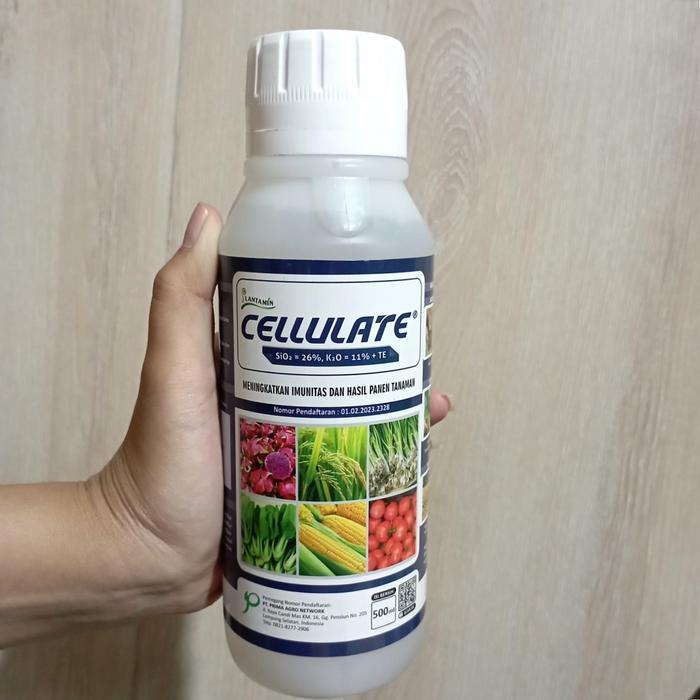 Buruan serbu] CELLULATE 500 ml Pupuk Cair SiO2: 26% - K2O: 11% + TE