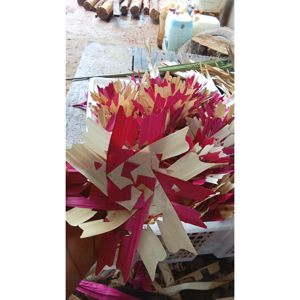 sampian nagasari busung ibung isi 10 pcs ukuran jumbo