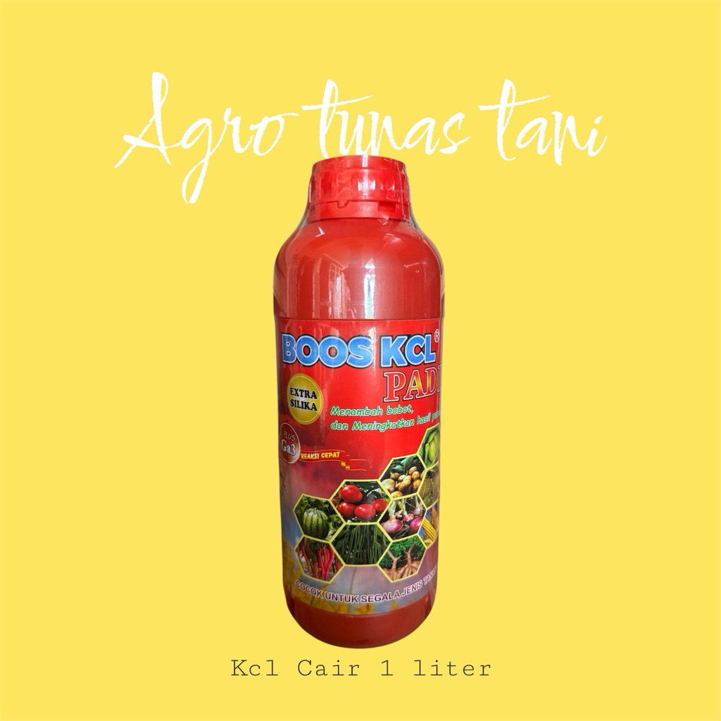 Pupuk Boster Buah Kcl Cair Plus Silika 1 liter