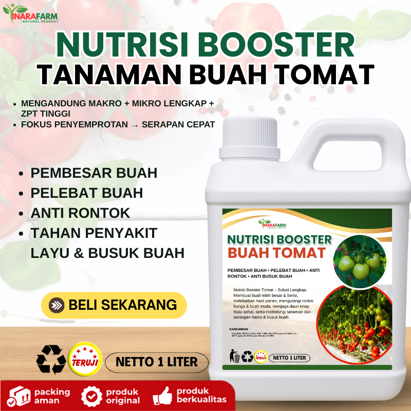 NUTRISI BOOSTER tanaman tomat/Pupuk pelebat buah dan anti layu tomat/Pupuk pembesar buah tomat