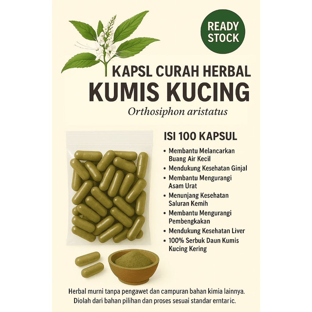 Kapsul Kumis Kucing – Herbal Alami Bantu Ginjal, Asam Urat & Kemih | Isi 100