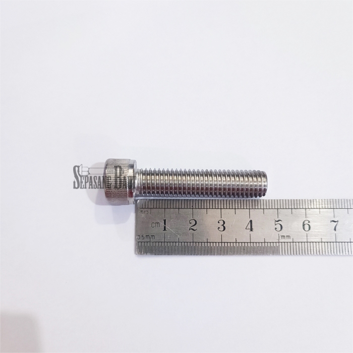 M10 x 45 Baut L Hex Head Socket Screw Stainless 304 M10x45
