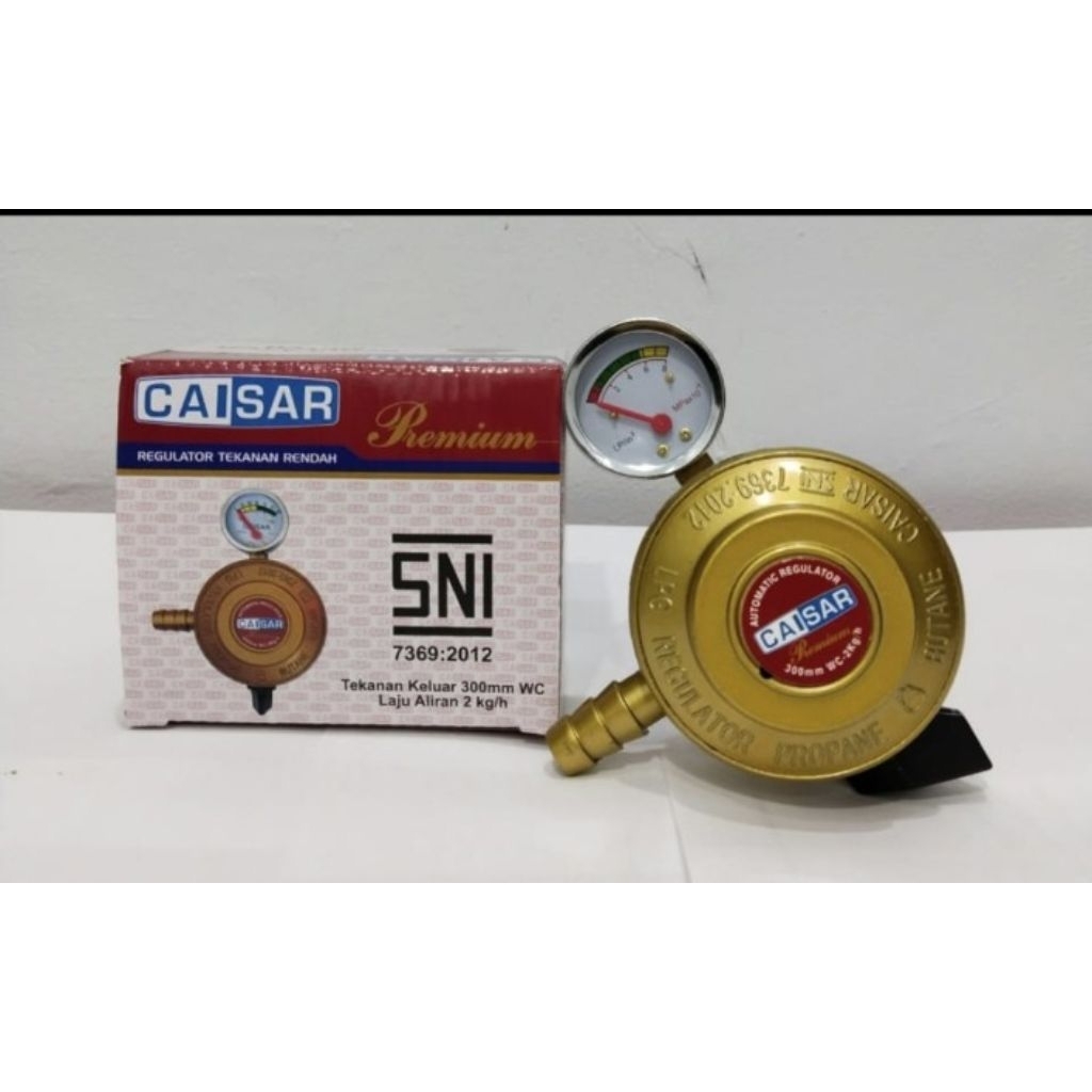 Regulator Caisar Meter Premium