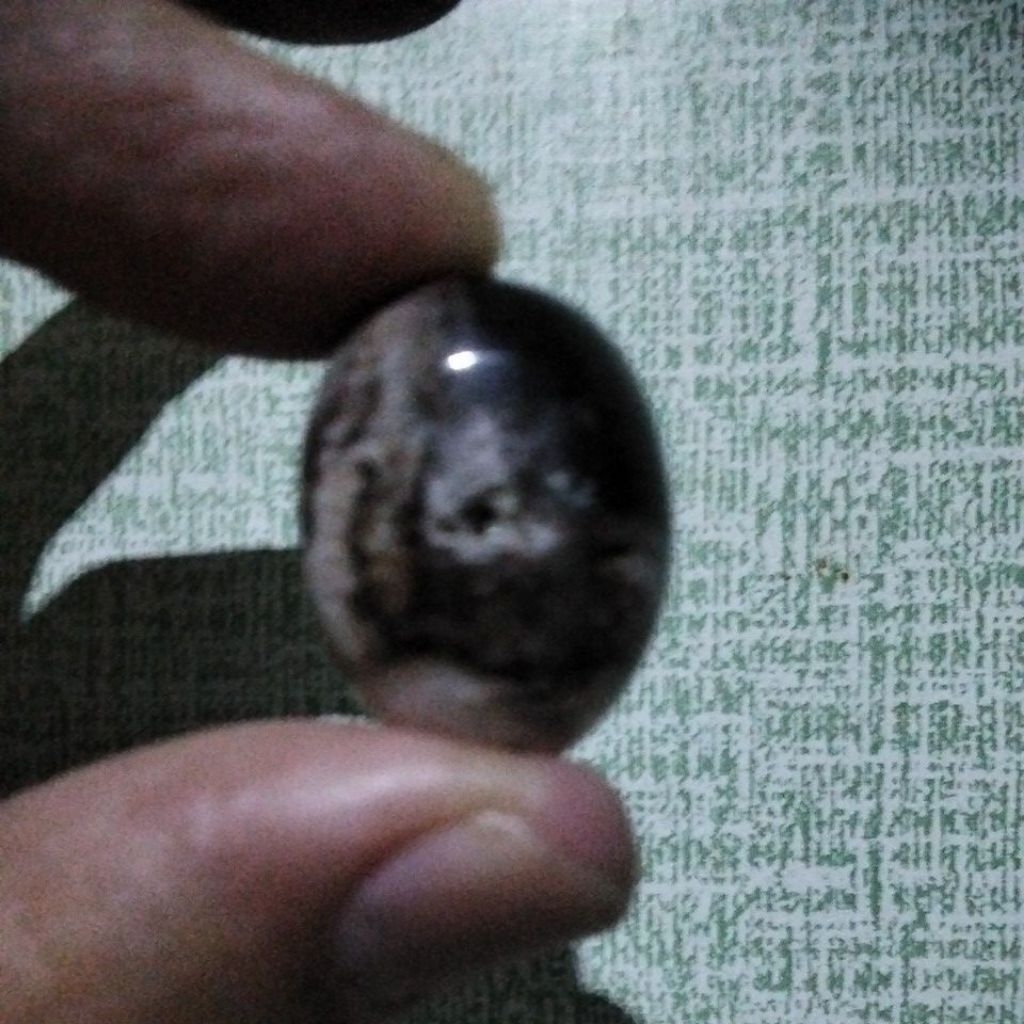 Batu Fosil Kelor Combong