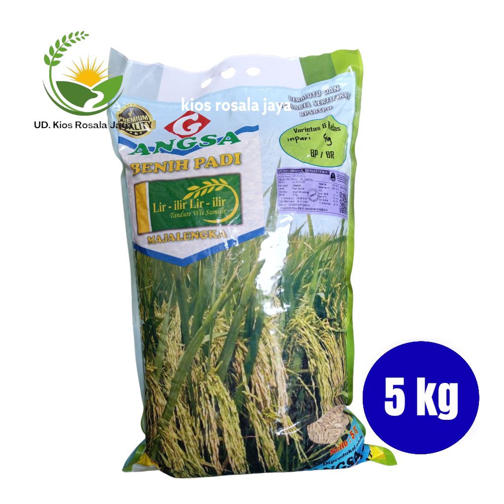 Benih Padi Unggul Terbaru Inpari 49 Jembar