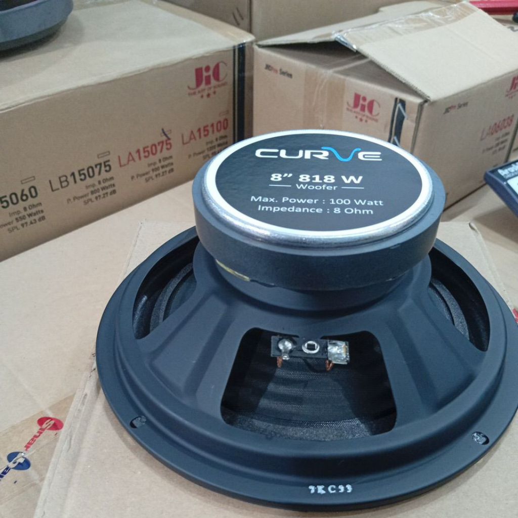 SPEAKER CURVE 8 INCH 818 WOFER