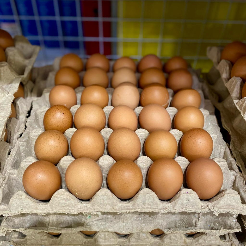 Telur Ayam Ras 1 Rak