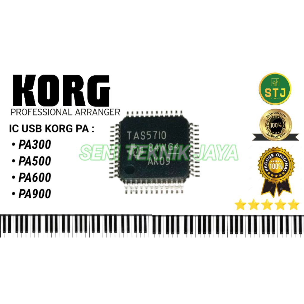 IC TAS5710 keyboard Korg PA300 PA500 PA600 PA900