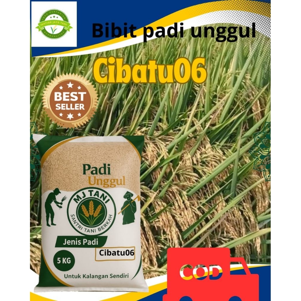 bibit padi cibatu06 5kg
