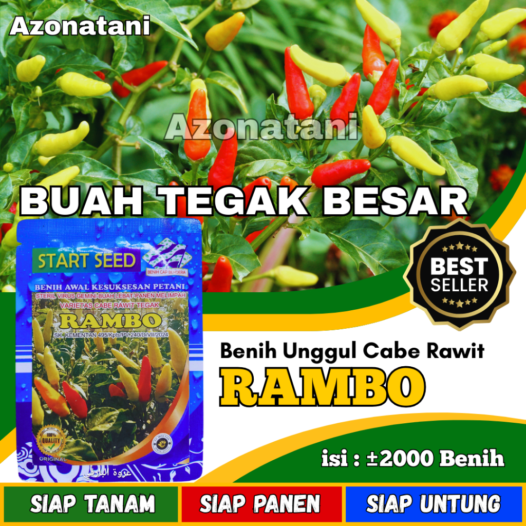 Bibit Cabe Rawit RAMBO Benih Cabe Rawit Tegak Buah Lebat Tahan virus