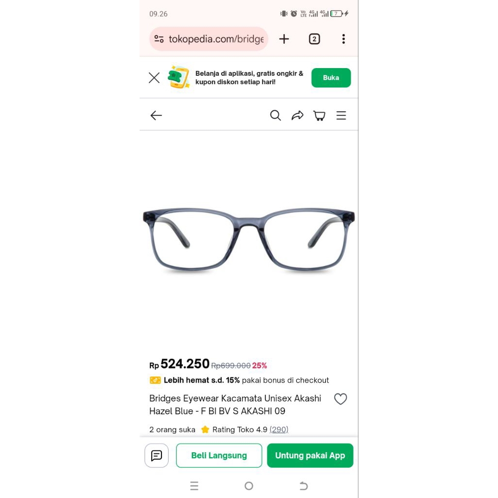 Bridges Eyewear Preloved