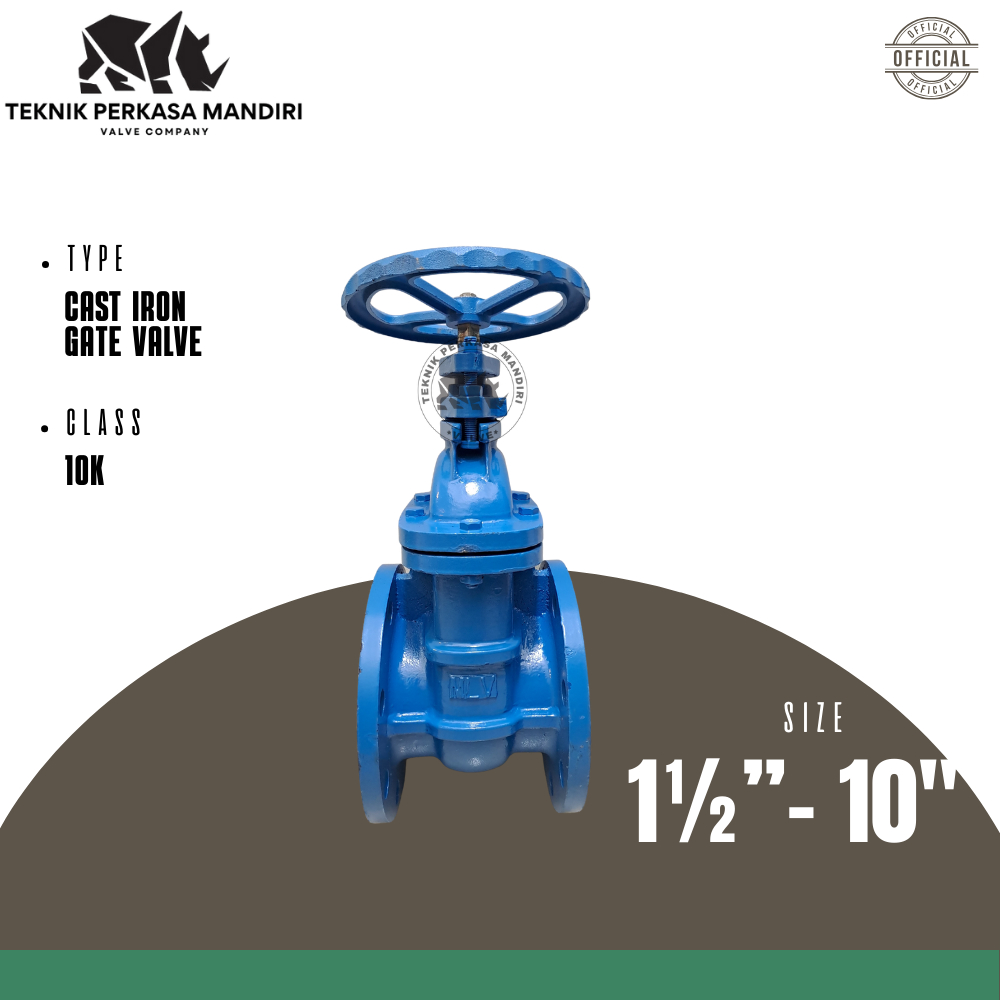GATE VALVE 8" INCH CAST IRON FLANGE JIS 10K ORIGINAL