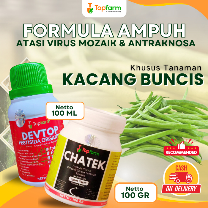 Obat Hama Ulat Tanaman Buncis / Obat Penyakit Busuk Buah Pada Buncis / Obat Hama Ulat Tanaman Buncis