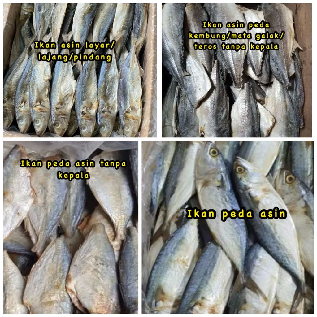 COD 250 BGGRAM IKAN ASIN PEDA PINDANG LAYAR LAYANG LAJANG KEMBUNG TEROS MATA GALAK KERING FRESH KALI