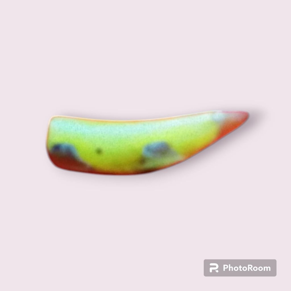 TARING HARIMAU ASLI GIGI TARING