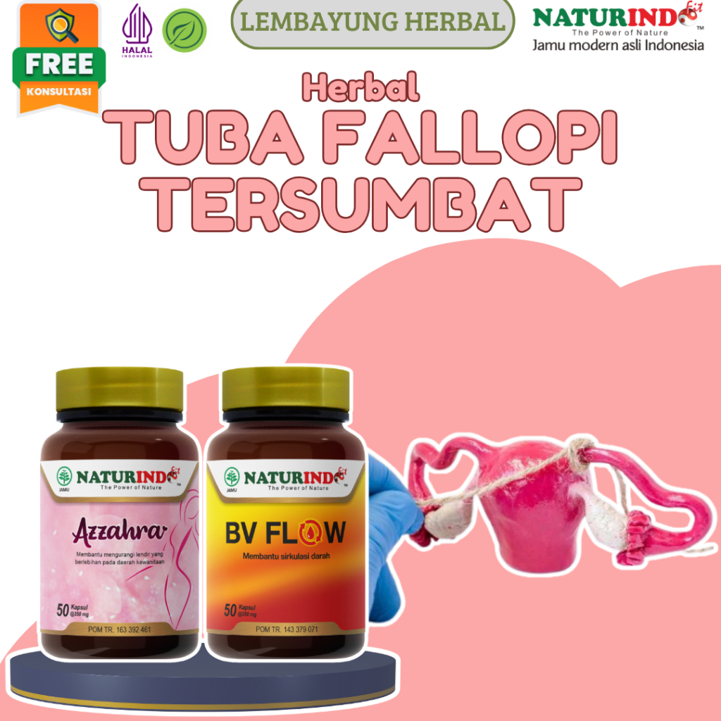 Herbal Tuba Tersumbat Non-Paten Tersumbat Kanan Kiri Penyumbatan Saluran Tuba Hidrosalping