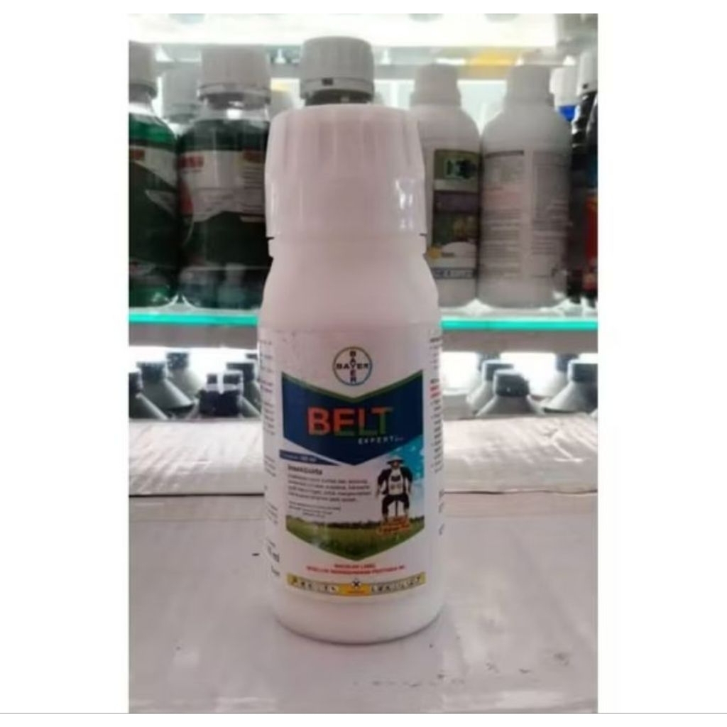 Belt Expert 480SC 100ml