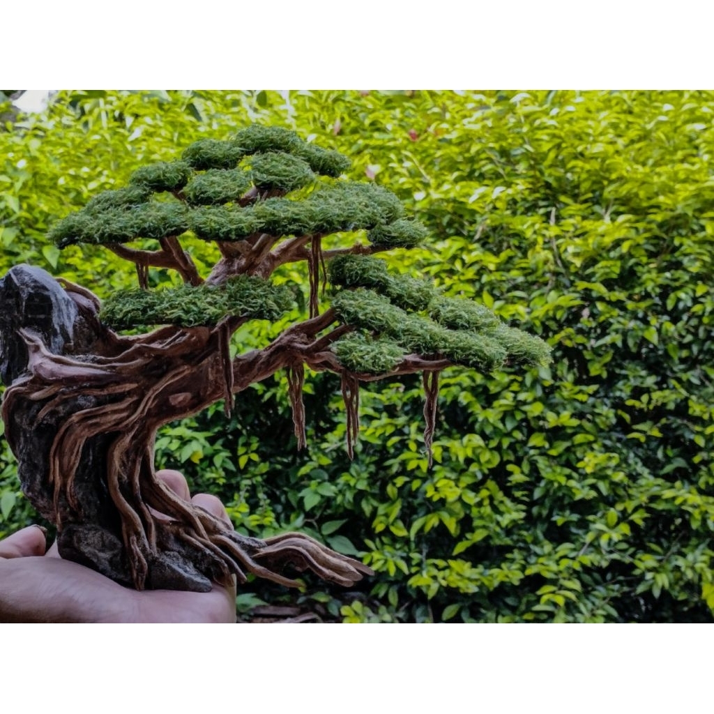 Bonsai Aquascape size jumbo xxl 30-35cm