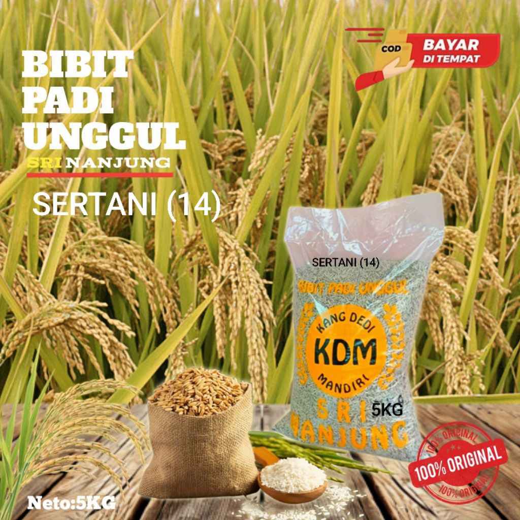 BENIH PADI SERTANI(14) KEMASAN 5kg KUALITAS BENIH PADI UNGGUL