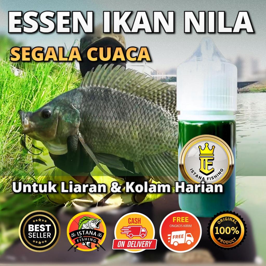 Essen Pengumpul Ikan Nila Media Umpan Lumut Cacing Pelet