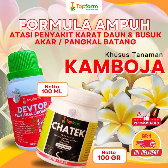 Pestisida Bunga Kamboja / Obat Hama Tanaman Hias / Pestisida Pembasmi Hama Tanaman Kamboja / Obat Ha