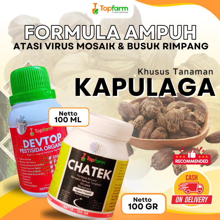 Pestisida Tanaman Kapulaga / Obat Hama Buah Kapulaga / Pestisida Pembasmi Hama Tanaman Kapulaga / Ob