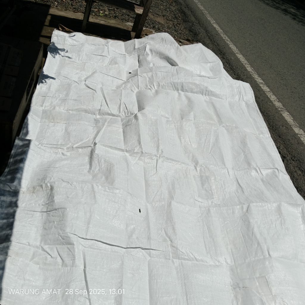 Terpal Gelaran, Jemuran Padi/gabah, Amparan tebal,