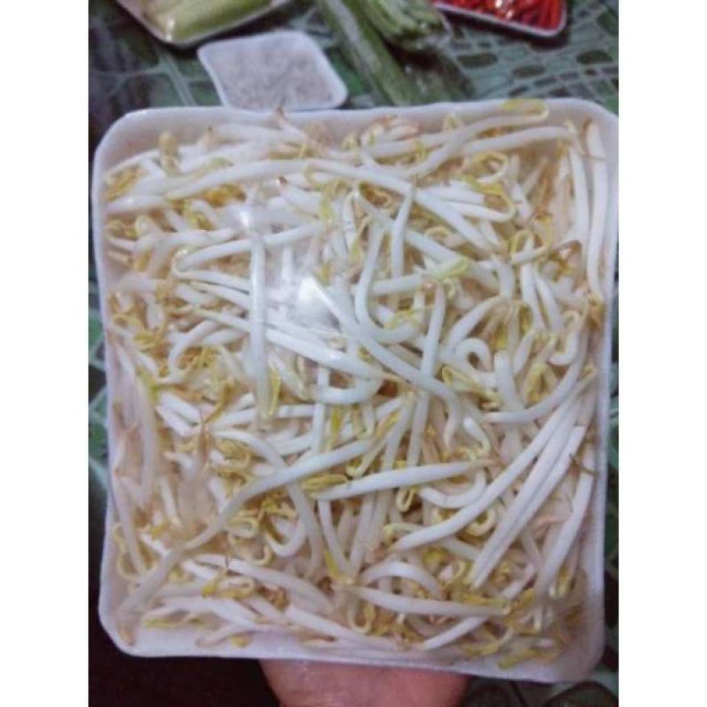 TOGE/TAUGE PANJANG FRESH 100GRAM
