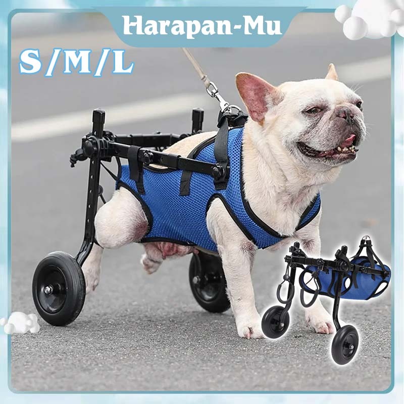 Alat Bantu Jalan Anjing Kucing / Kucing Anjing Hind Legs / Kursi Roda Hewan
