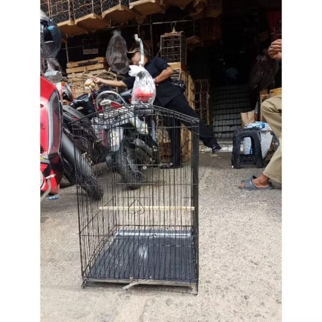 KANDANG BESI KOTAK no.2