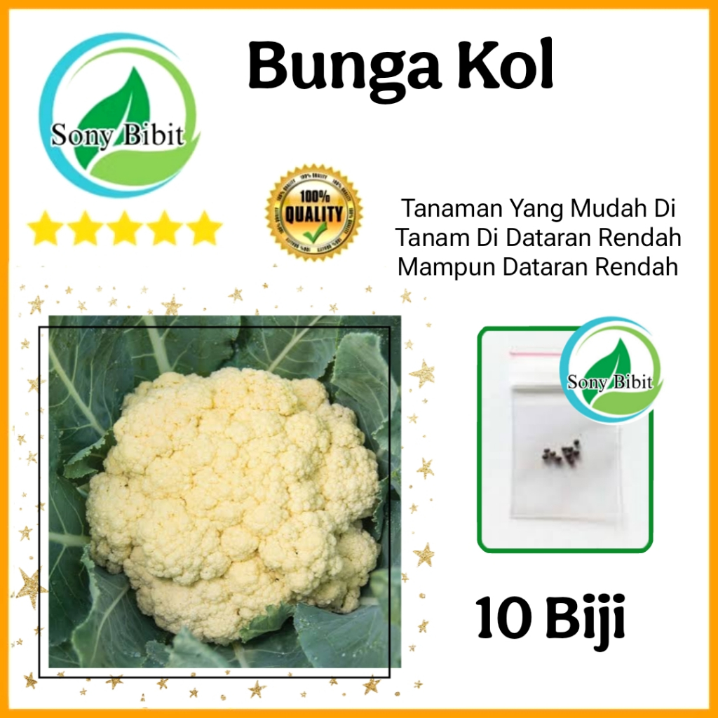 Benih Kembang Kol / Bunga Kol Berkualitas