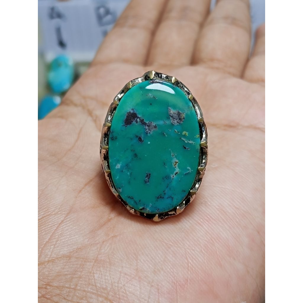 PIRUS PERSIA HIJAU TUA