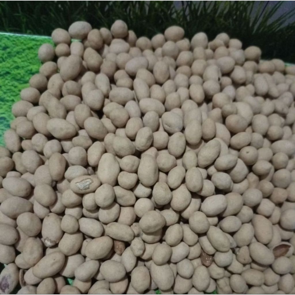 Makanan Kacang Tanah Telur Oven