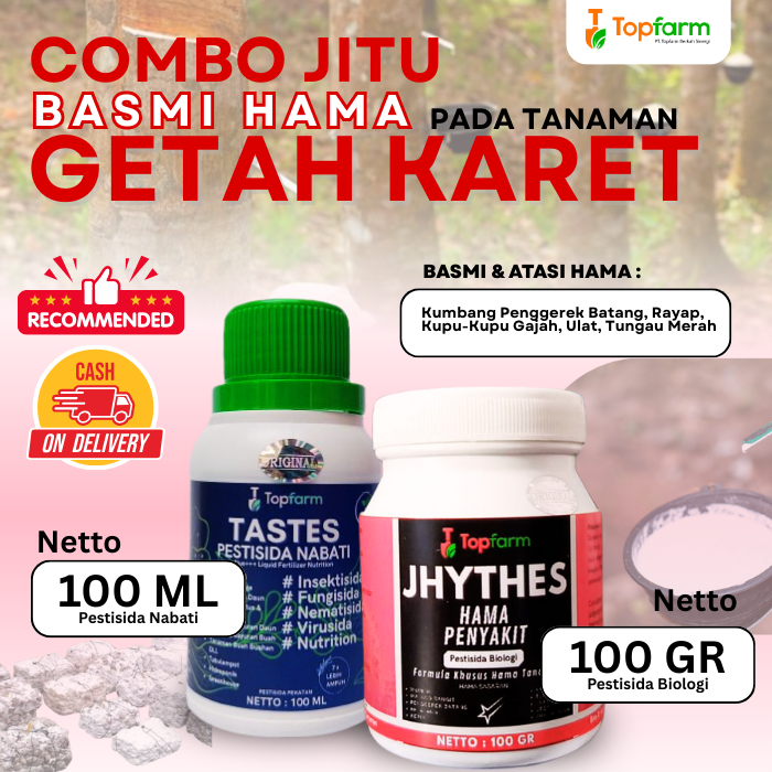 Insektisida Tanaman Getah Karet / Obat Pohon Karet Mati Kulit / Insektisida Pohon Karet / Insektisid