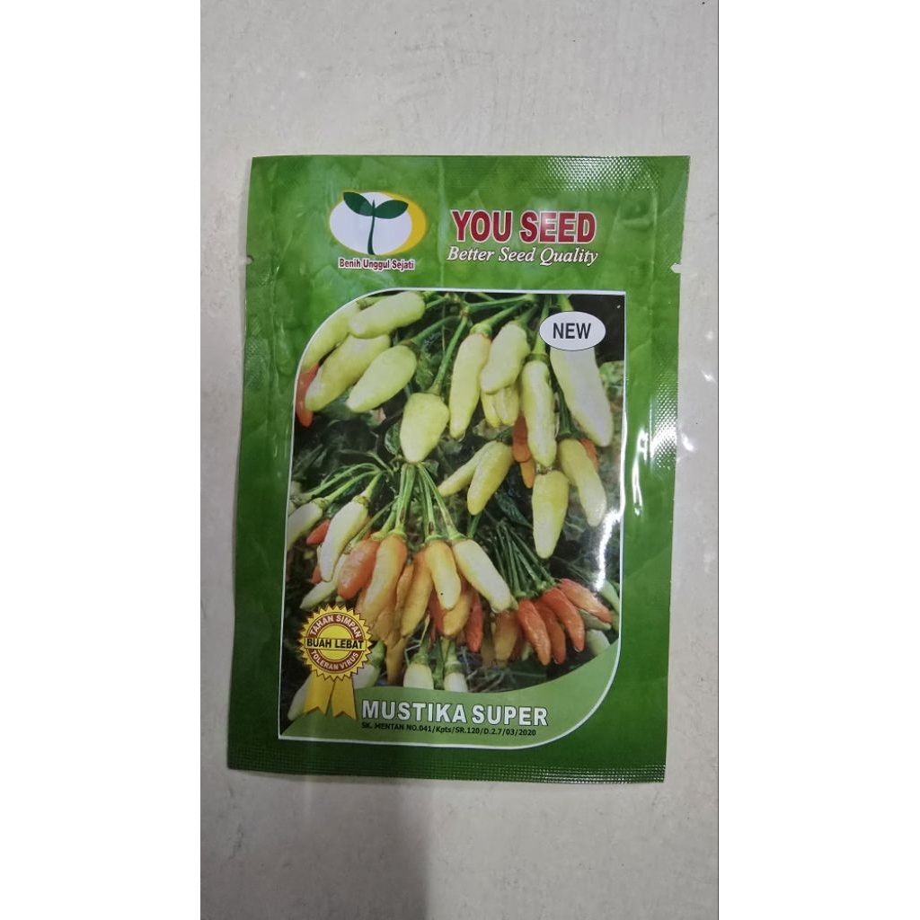 Benih cabai kecil MUSTIKA SUPER