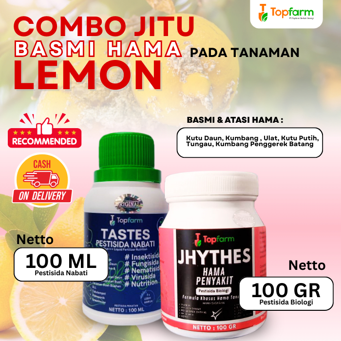 Insektisida Obat Hama Buah Lemon / Insektisida Buah Lemon / Obat Hama Buah Lemon / Insektisida Pemba