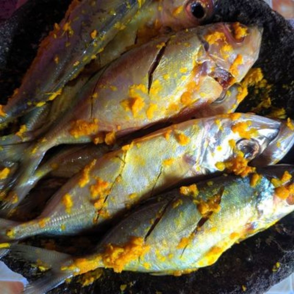 IKAN KEMBUNG bumbu kuning