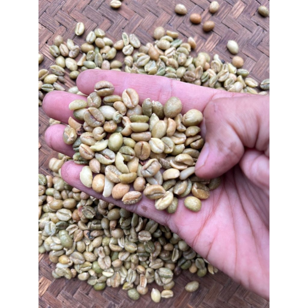 BIJI KOPI GREEN BEAN EXCELSA/LIBERIKA/ SARI ASALAN