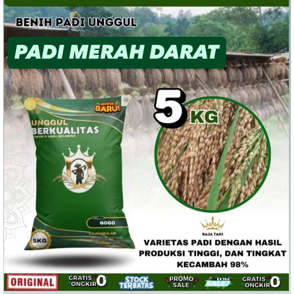 BENIH PADI BIBIT PADI MERAH DARAT KUALITAS UNGGUL KEMASAN 5KG