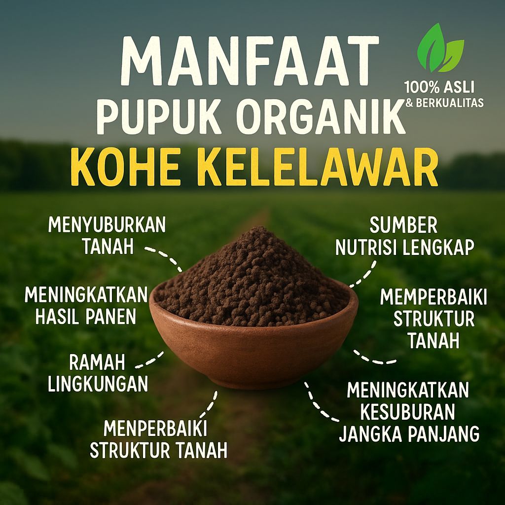 Kohe Kelelawar – Pupuk Organik Premium untuk Hasil Panen Maksimal