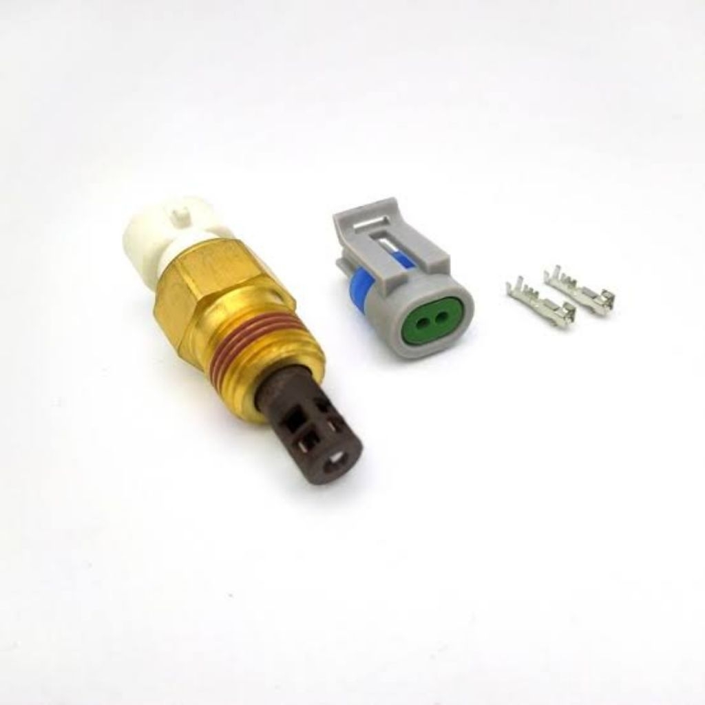 Gm IAT Sensor Gm Open Element IAT Sensor With Plug